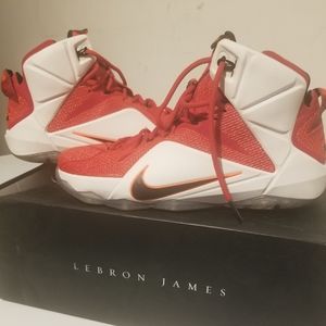 Lebron James size 12